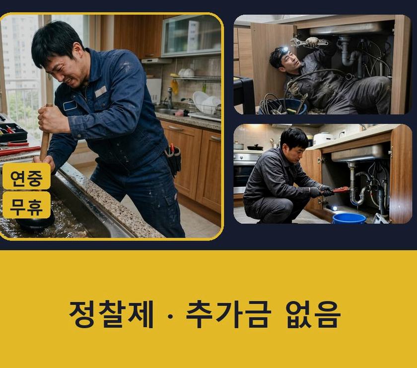 고양시일산동구 풍동 변기막힘 긴급출동 현장 작업 사진 - 배관해결사