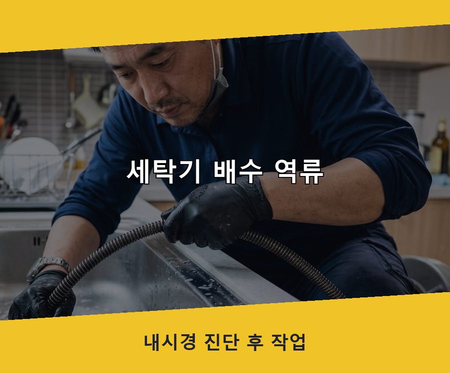 고양시일산서구구 산동 정화조막힘 비용 현장 작업 사진 - 배관해결사